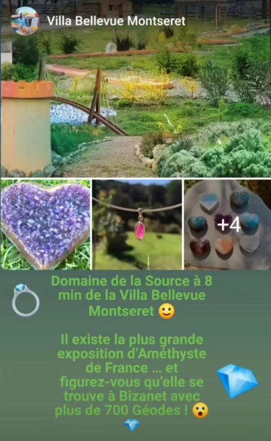 Villa Bellevue - Avec Piscine Montséret Extérieur photo
